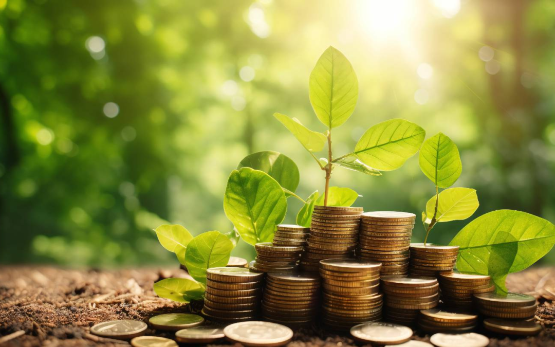 Comment puis-je établir un équilibre efficace entre l’épargne et l’investissement ?
